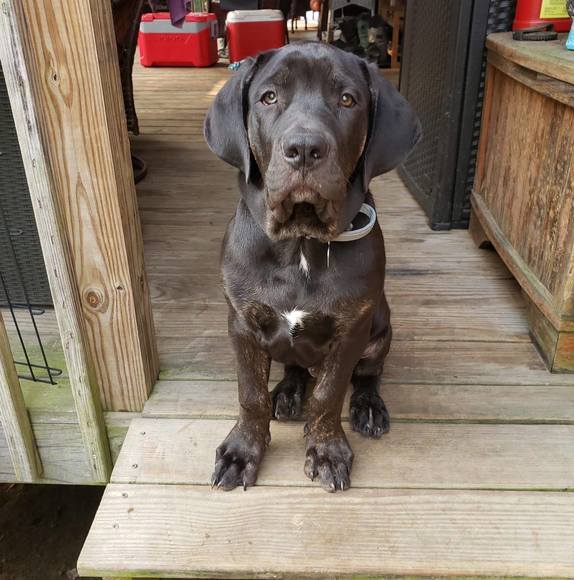 Meet your Posher, Geri-ann - Picture 1 of 1